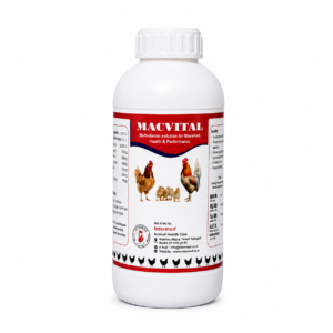 MACVITAL